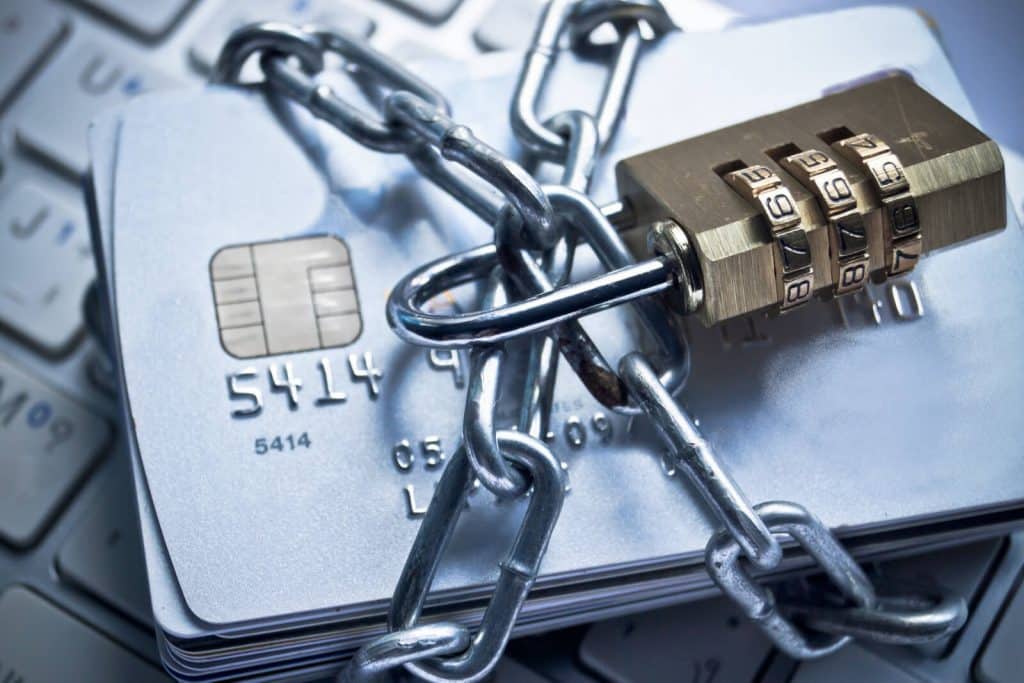 Fullz and Credit Card Fraud