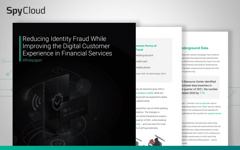 Fraud Report